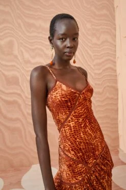 ULLA JOHNSON Elodie Dress - Sienna -Lila's Closet ULLA JOHNSON Elodie Dress SIENNA 0112